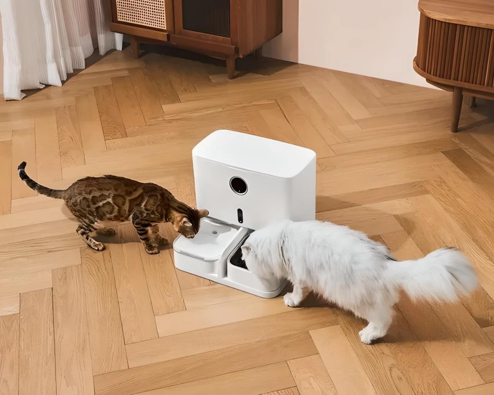 automatic dry food pet feeder